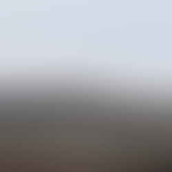 CraneFest Welcomes the Migrating Sandhill Cranes