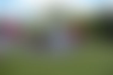 Comets break out broomsticks, prepare the confetti