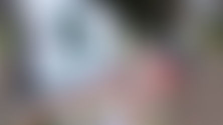 Shooting at MSU: Olivet's Response