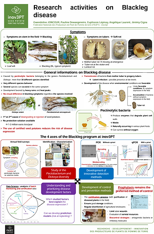 Poster_blackleg.png
