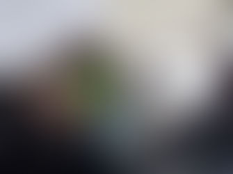 1 ring- owner sought