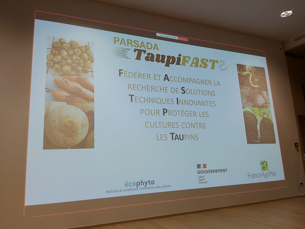 Réunion de lancement