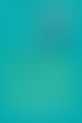 The Kiss Quotient Review