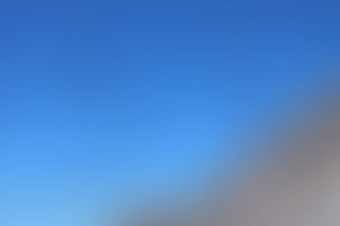 Olivet's Ornithology Class Visits Mexico