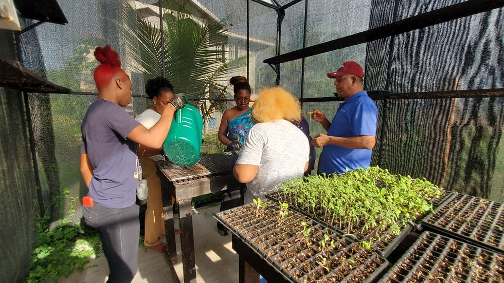 Woman Kitchen Gardeners at the Seedling Shade House (Photo Credit - LFU Inc)