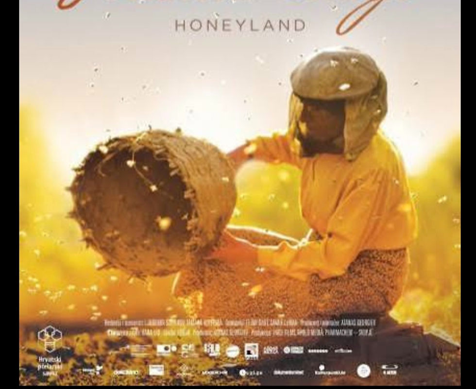 iO Cinema Presents: “Honeyland”
