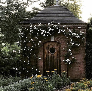 77140427_1306289179532836_88761643680902