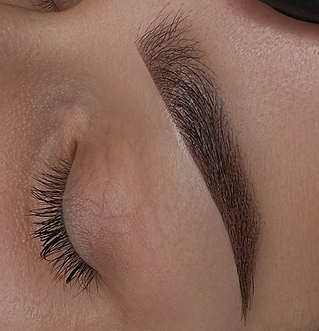 powderbrows