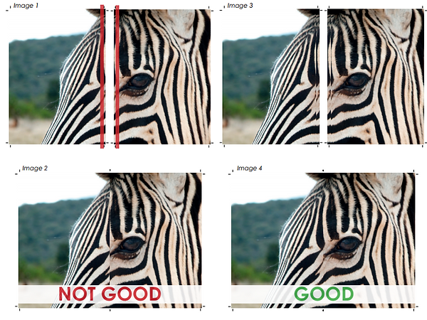 example.png