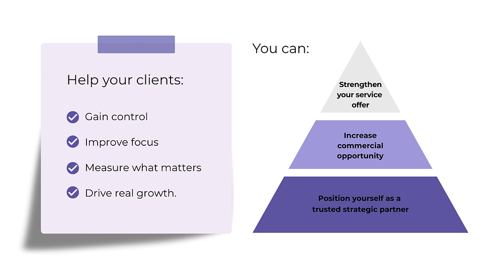 Infographic: Benefits for SME clients and advisors