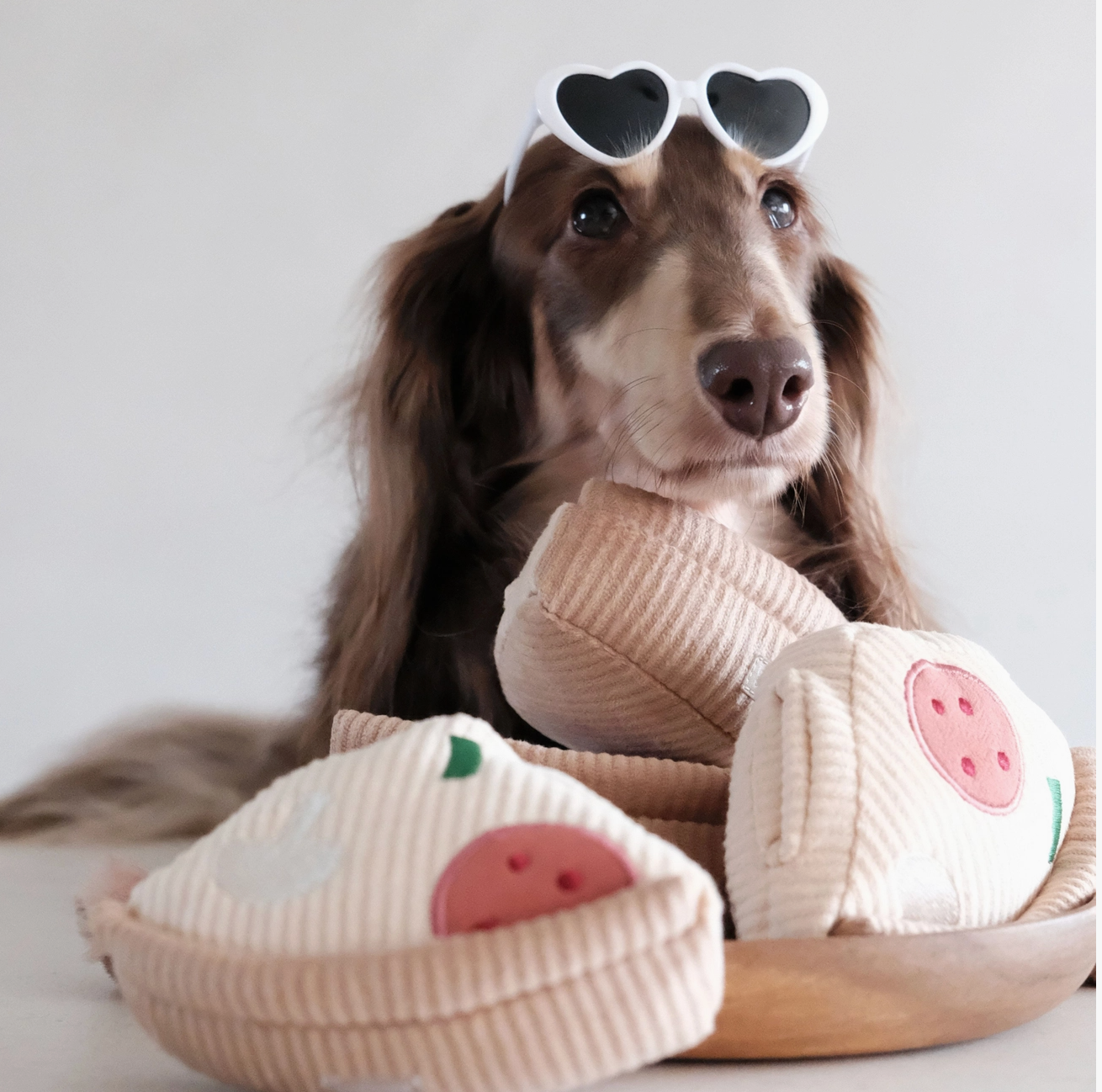 Deep Dish Pizza Enrichment Dog Toy by Lambwolf Collective – Squeaky + Snuffle