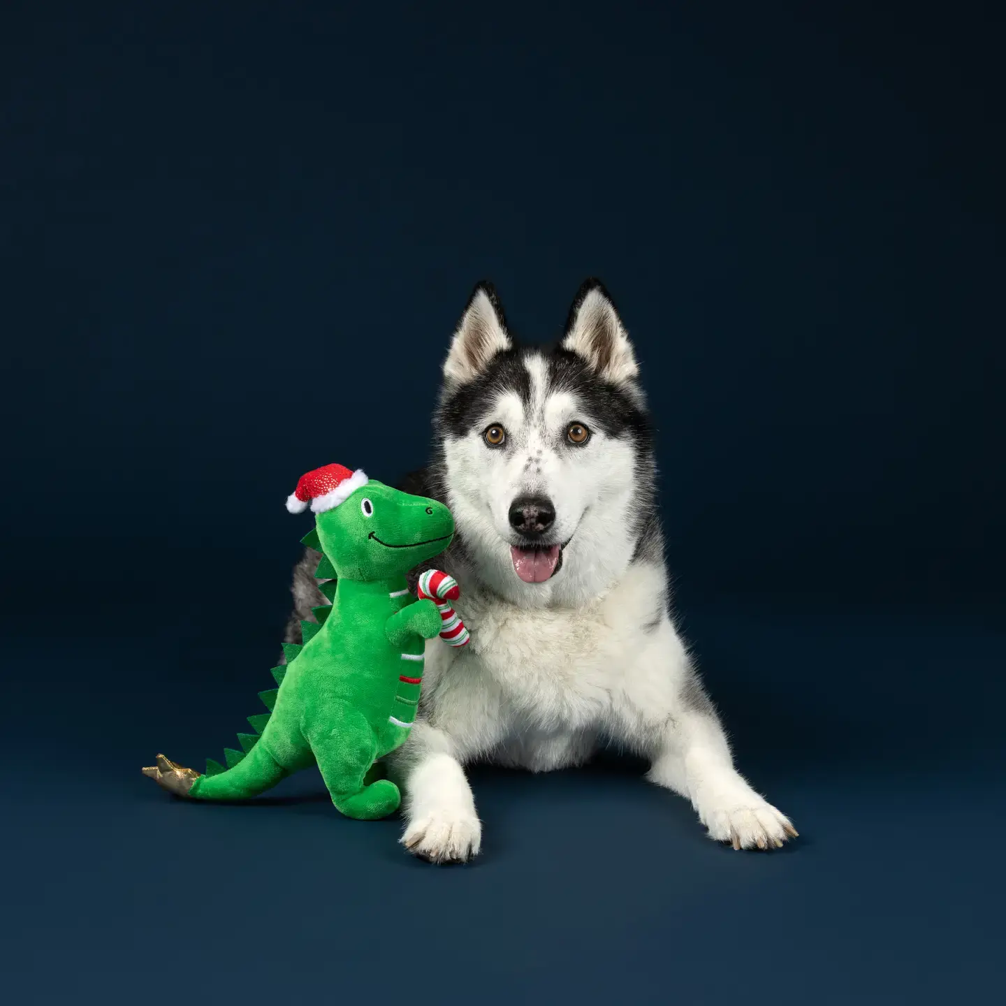 Rex-Mas Is Here! Dinosaur Plush Dog Toy