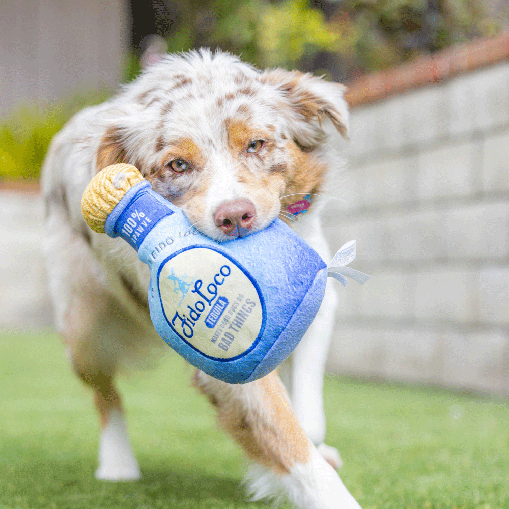 Fido Loco Tequila Power Plush – Large – HUXLEY & KENT