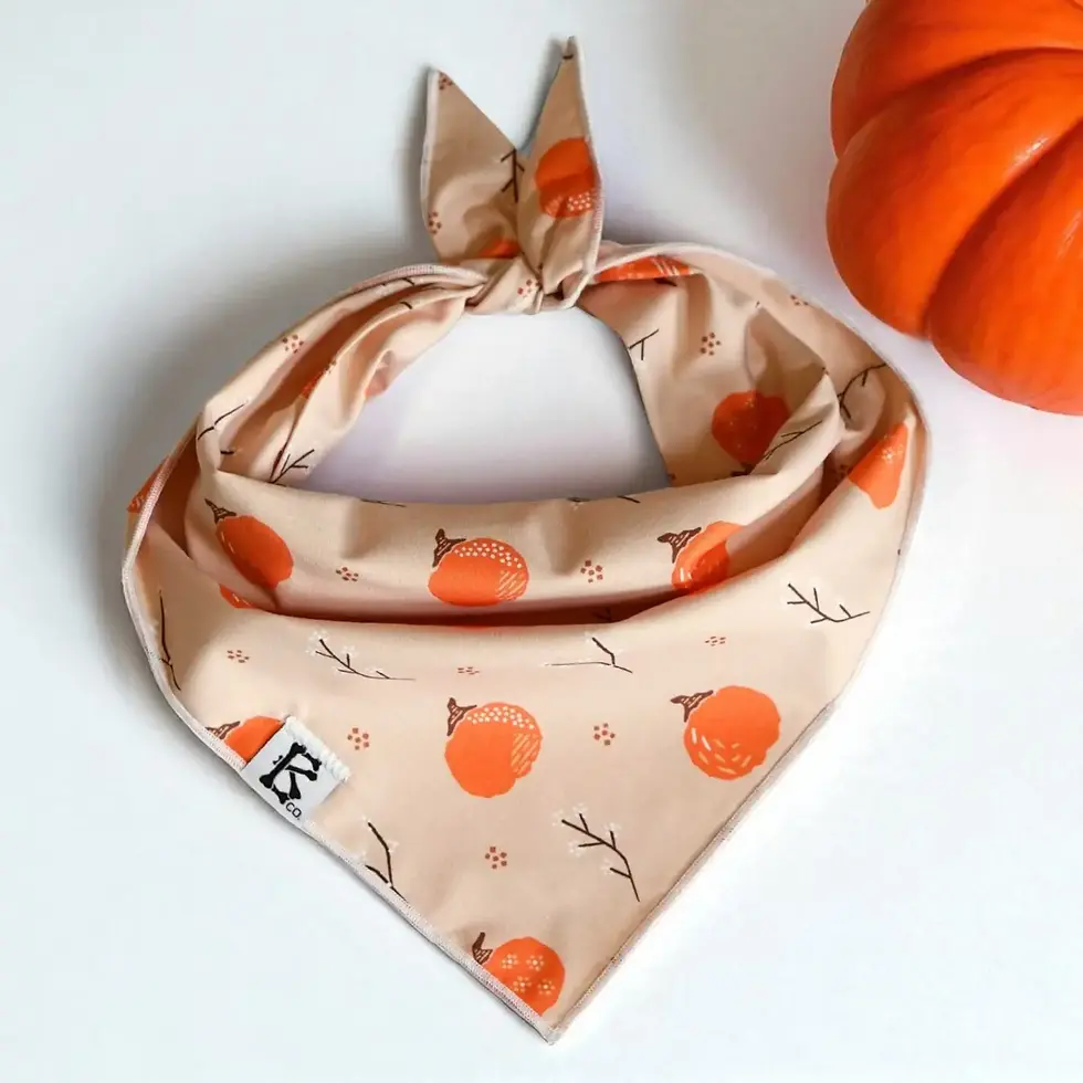 Thumbnail: Boneyard Co Bandanas – Fall Collection