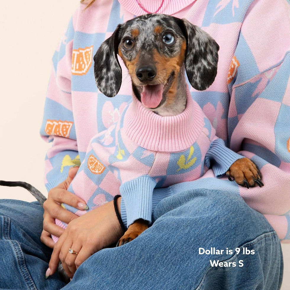 Thumbnail: Shelly Roll Neck Knitted Dog Sweater