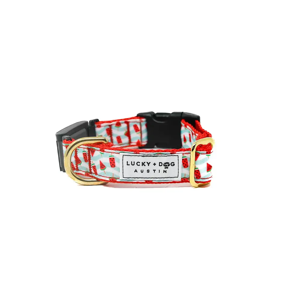 Thumbnail: Fi-Compatible Collars – LUCKY + DOG