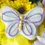 Thumbnail: close up of a butterfly shaped and decorated dog cookie in pastel colors with yellow flowers in the background