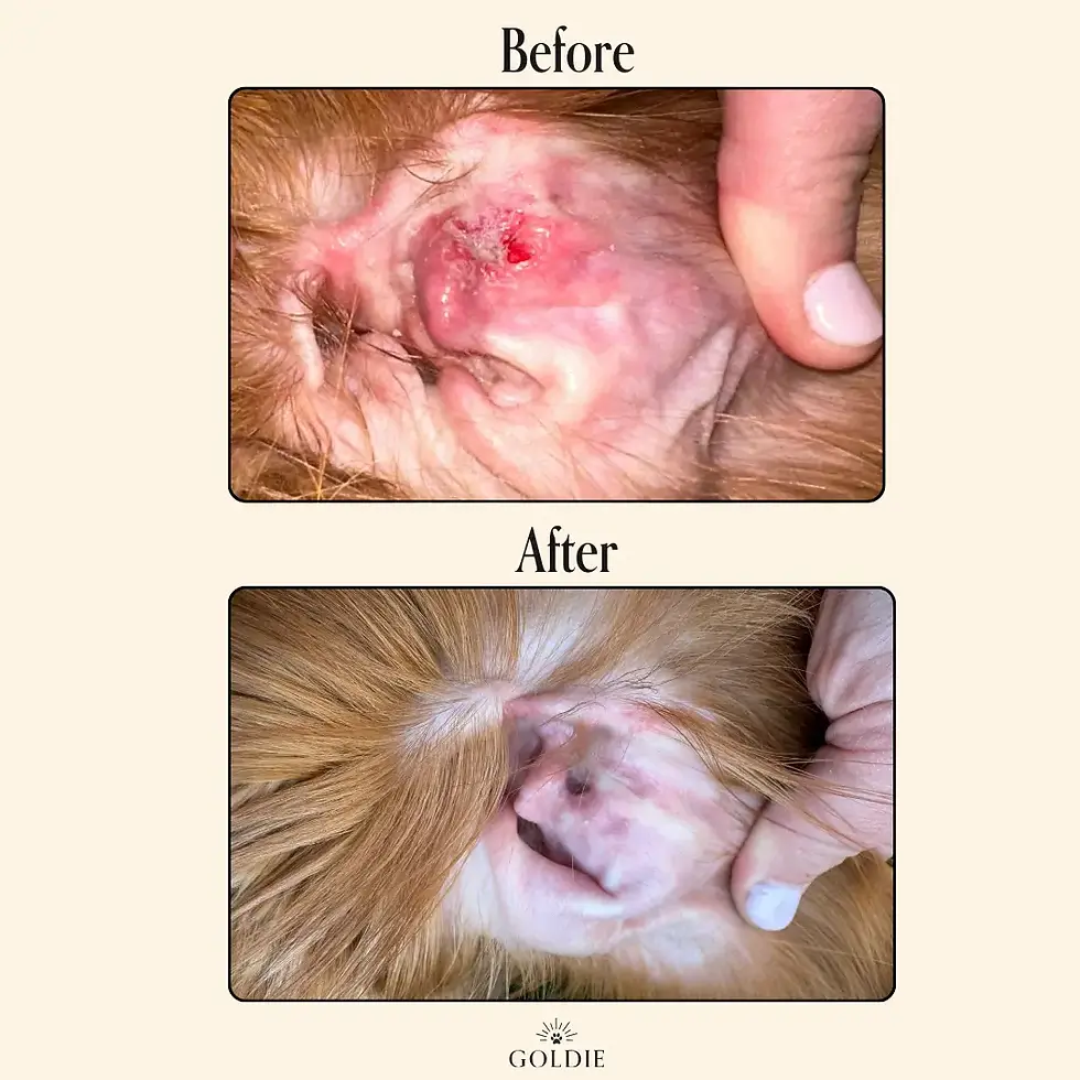 Thumbnail: Miracle Rinse by Goldie