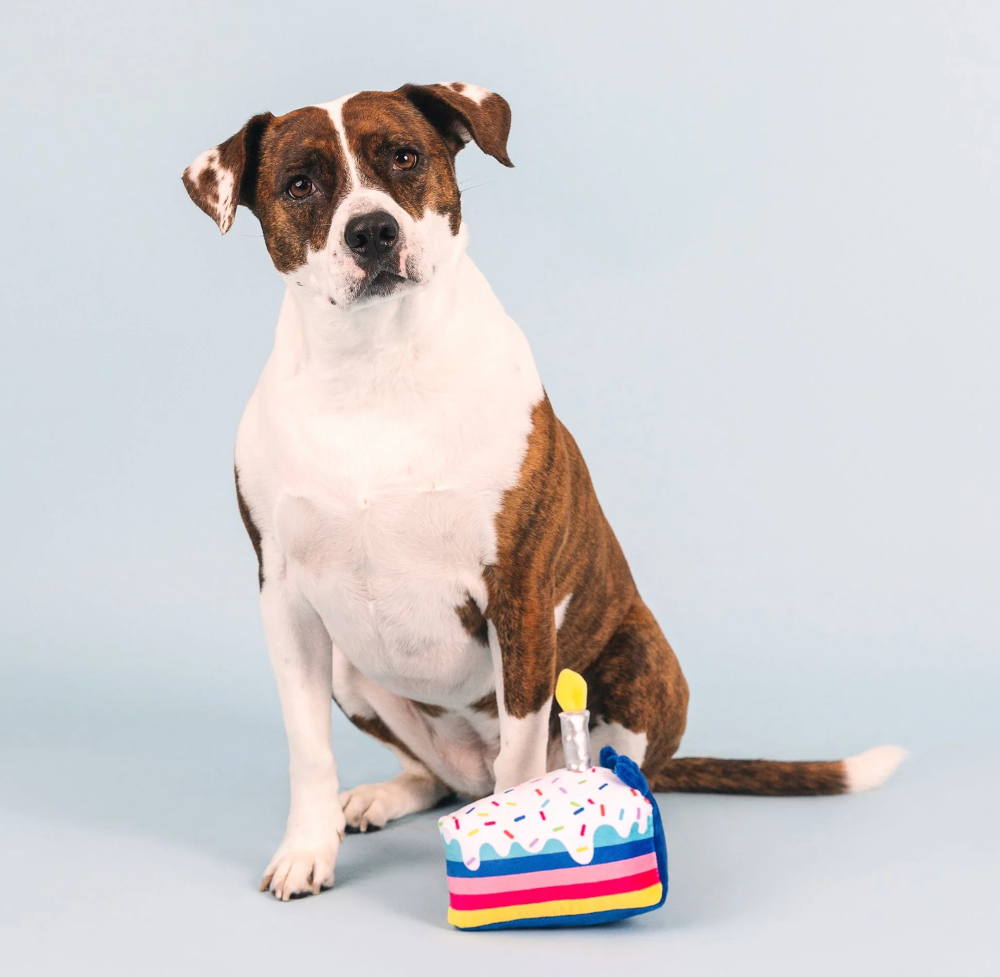 Cake It Easy Dog Plush Toy by Fringe Studio