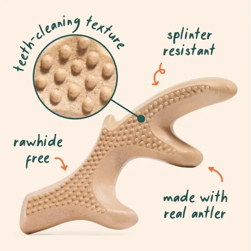 Thumbnail: HonestChew by Woof