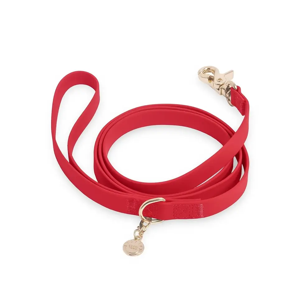 Thumbnail: Waterproof Cloud Dog Leash from Sunny Tails