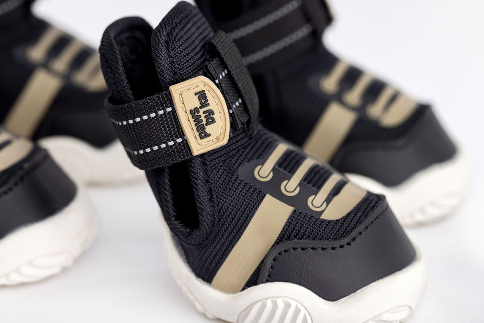 Thumbnail: Protective Dog Shoes – Paws by Kai