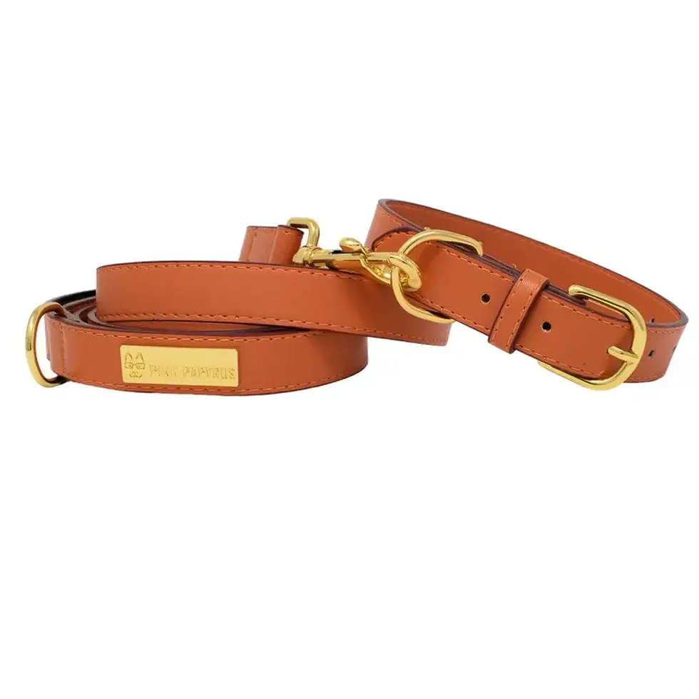 Thumbnail: Vegan Leather Leash – Pink Papyrus