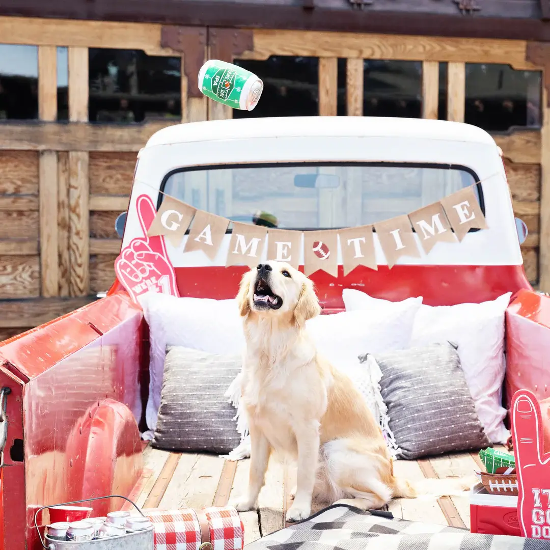 Game Day IPA Plush Dog Toy by Fringe Studio