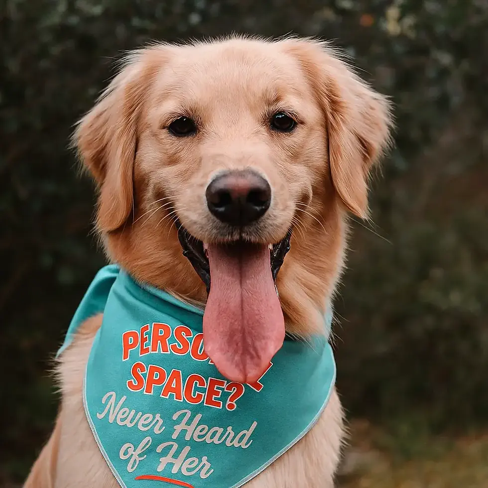 Thumbnail: Boneyard Co Bandanas
