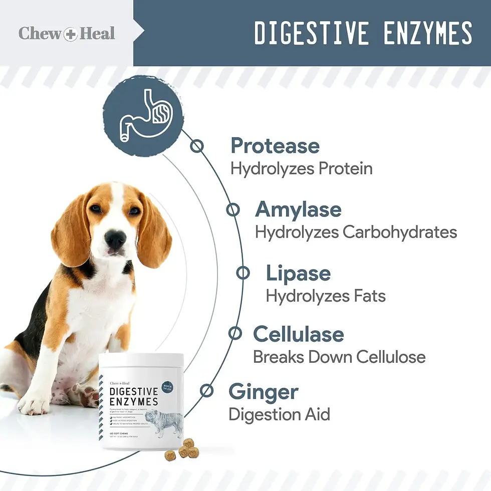 Thumbnail: Digestive Enzymes with Probiotics