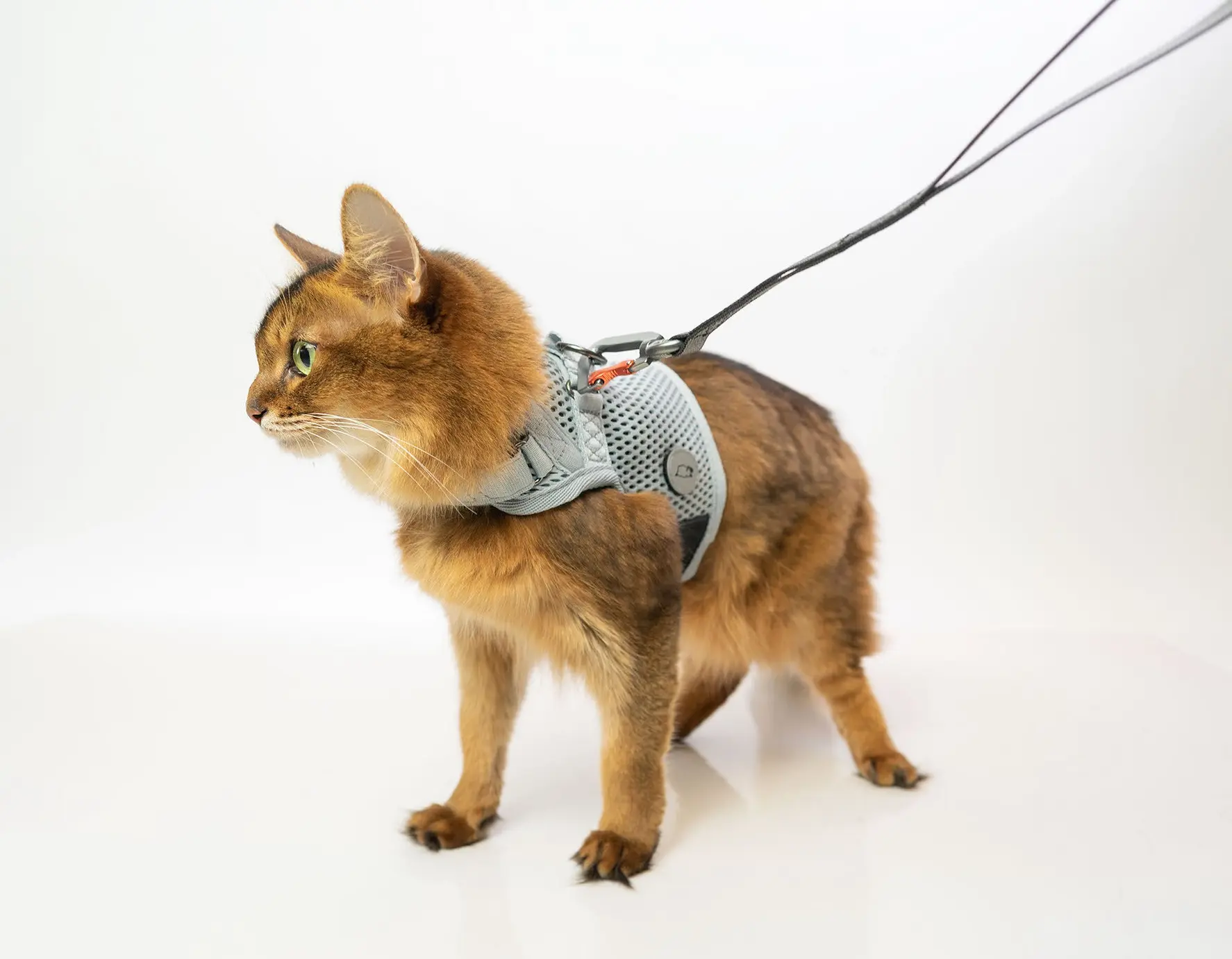 Martingale Calming Cat Harness - Walking Harness