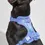 Thumbnail: Top view of Moonstone Harness on black dog