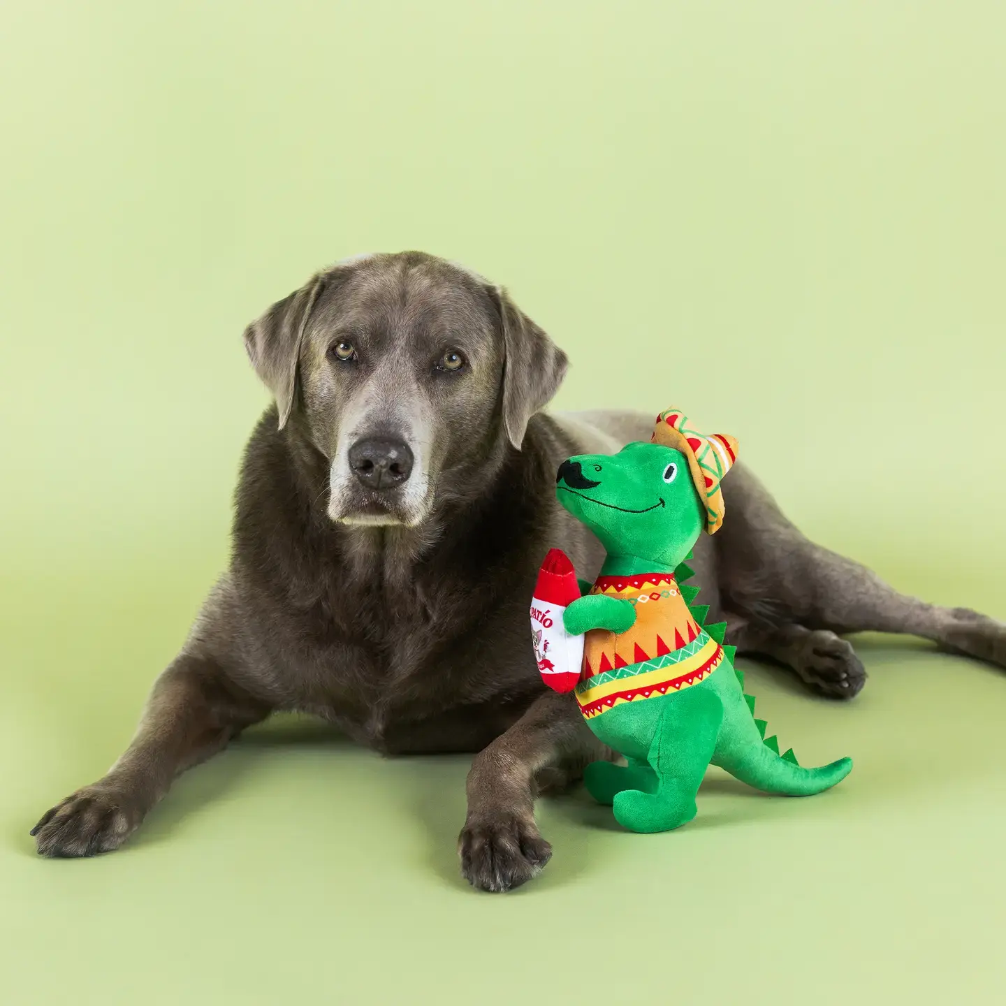 Fiesta-Saurus Dinosaur Plushie Dog Toy