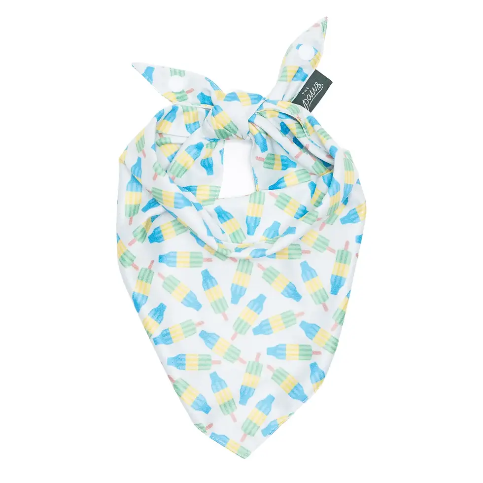 Thumbnail: Limeade Cooling Dog Bandana
