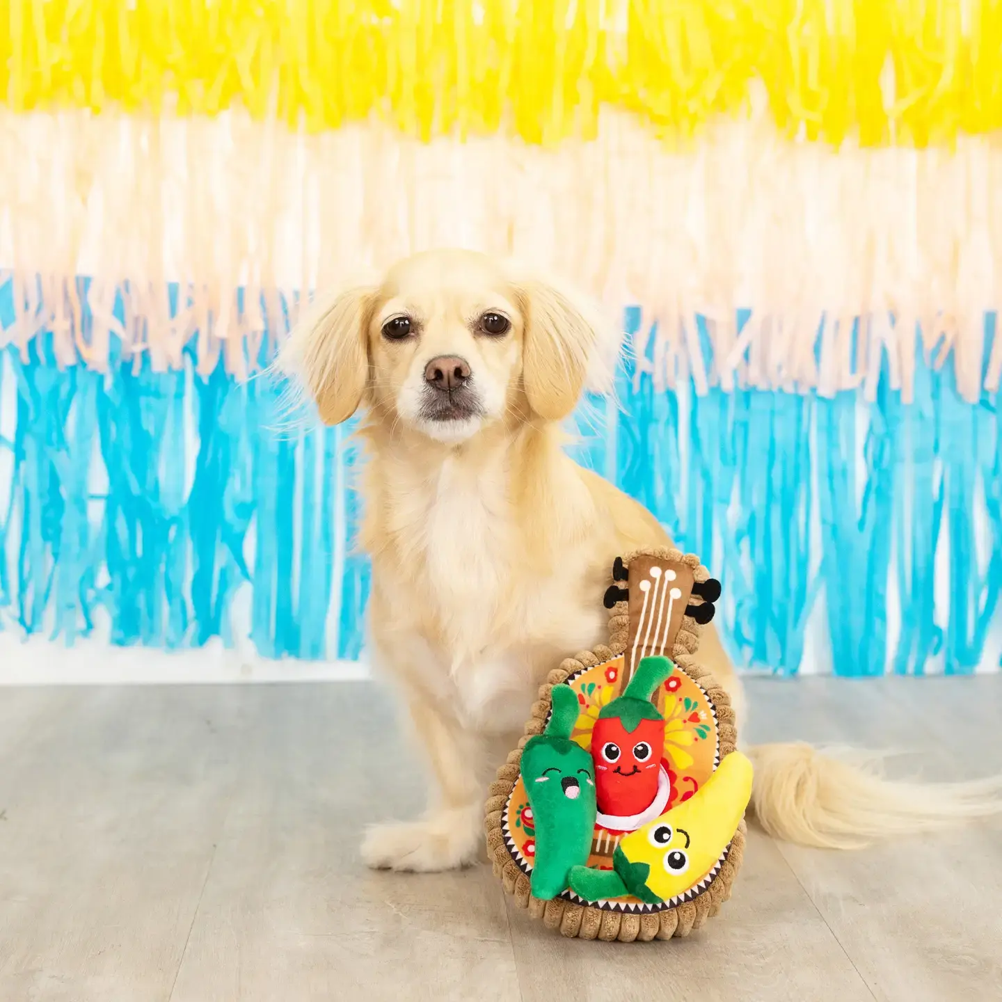 Fiesta Till You Siesta – Interactive Burrow Plush Dog Toy Set by Fringe
