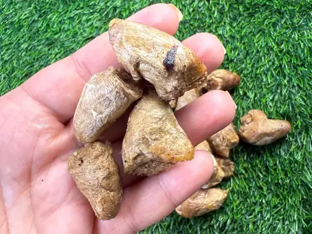 How to Rotate Treats & Chews for Better Nutrition
