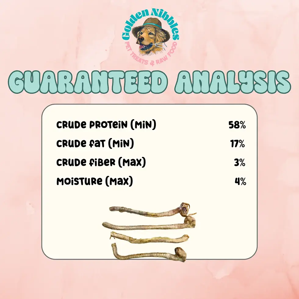 Thumbnail: Duck Tracheas Freeze-Dried Treats for Dogs, Puppies & Cats – from Golden Nibbles