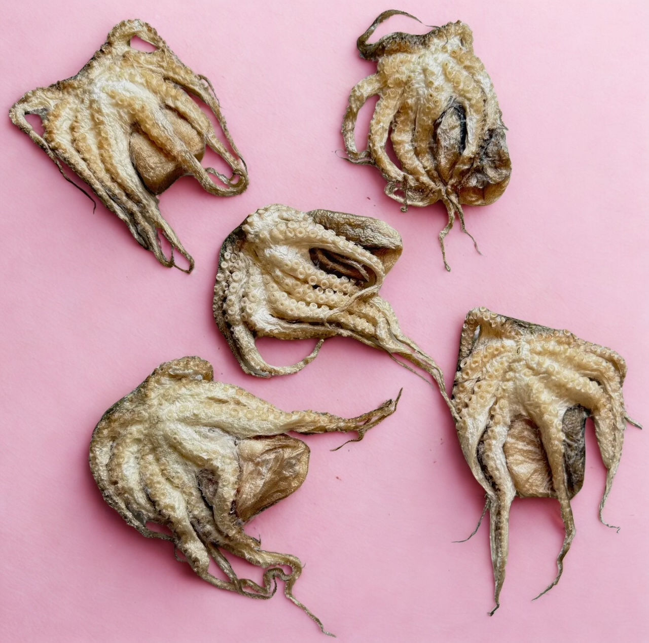 Baby Octopus – Freeze-Dried – A Taste of the Mediterranean – Golden Nibbles