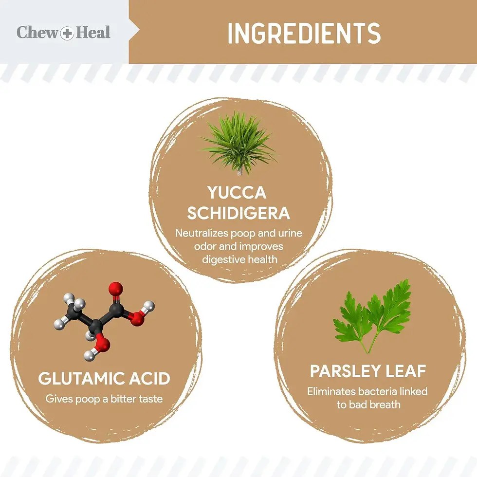 Thumbnail: Stop the Poo Chew – Chew + Heal