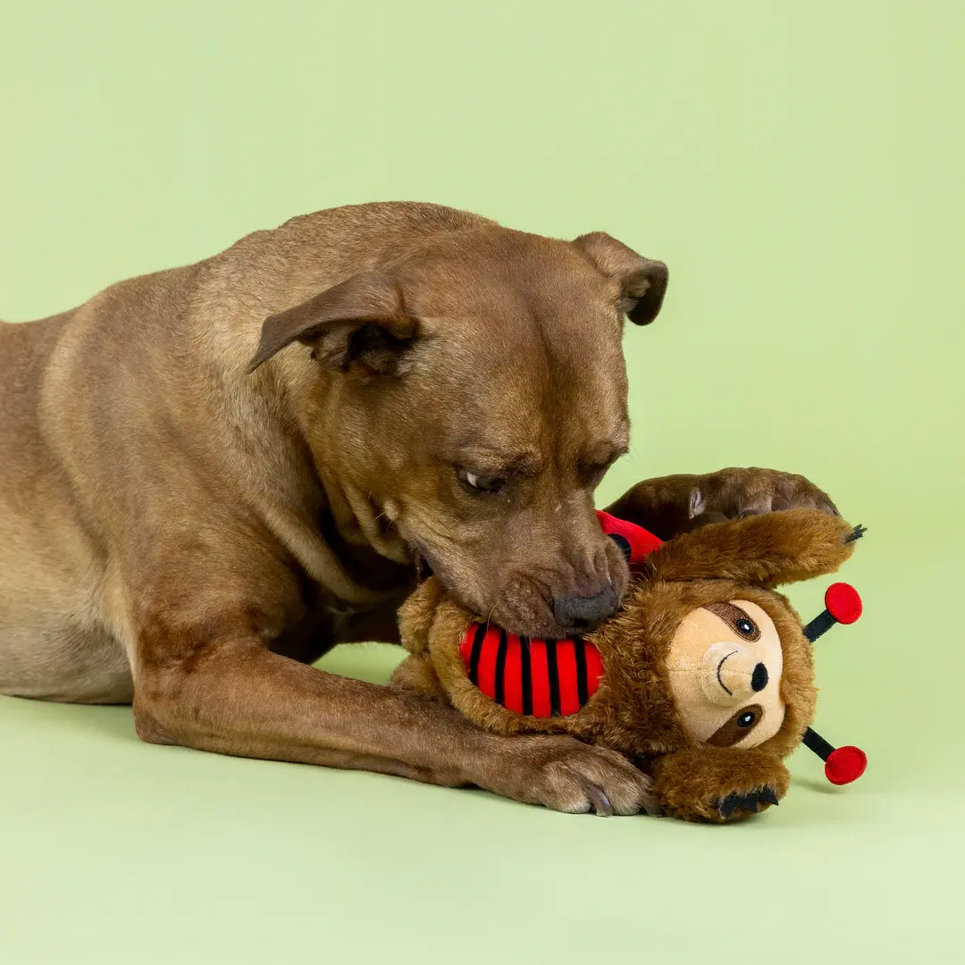 Little Ladybug Plush Dog Toy – Fringe