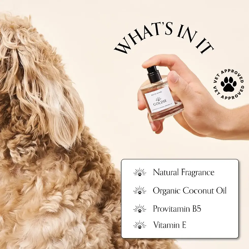 Thumbnail: Coat Conditioning Dog Fragrance by Goldie
