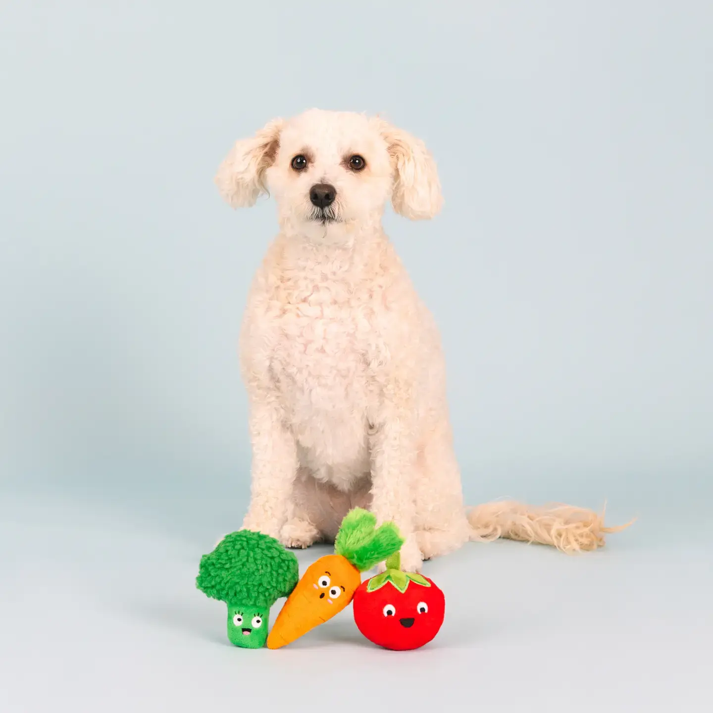 Farm To Table – 3-Piece Plush Dog Toy Set by Fringe