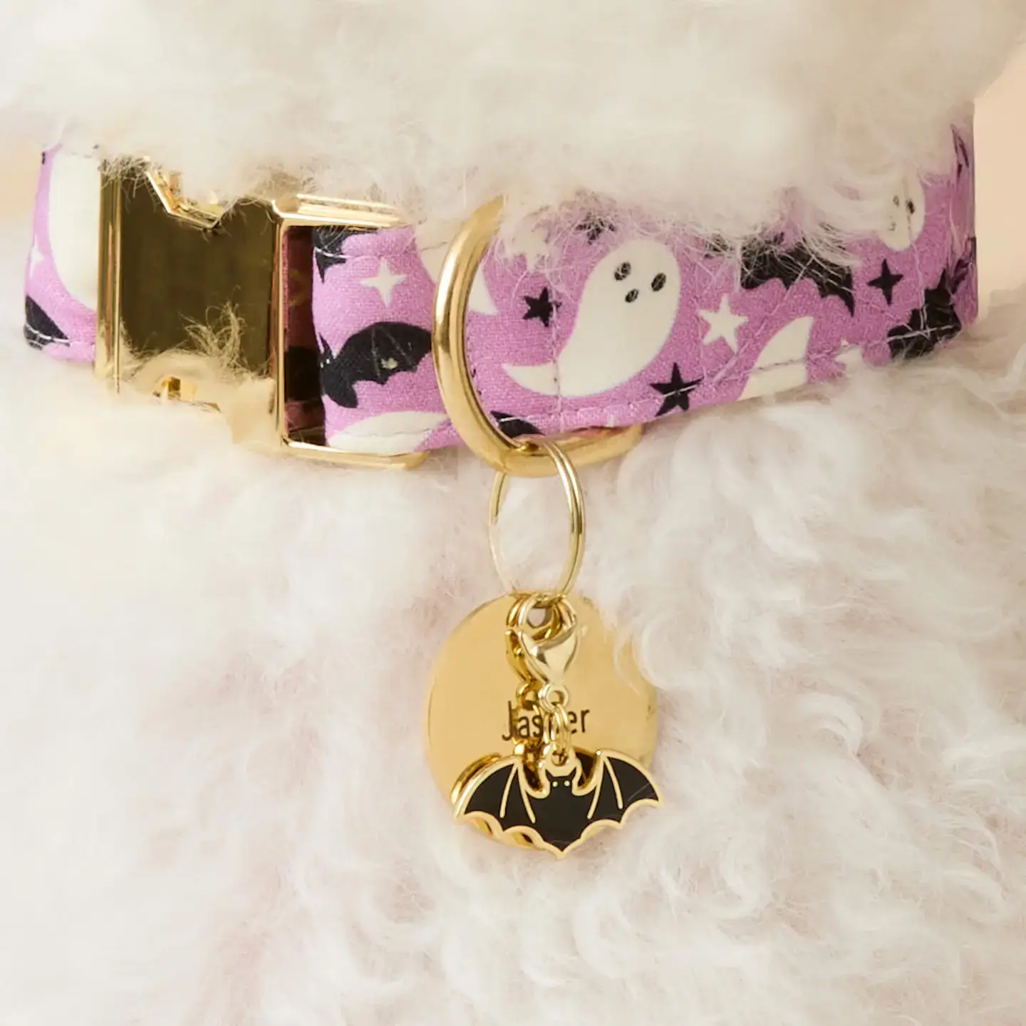 Bat Collar Charm