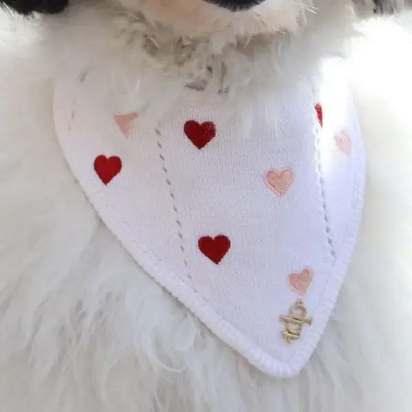 Thumbnail: The Deluxe Pup – Valentine's Day Collection