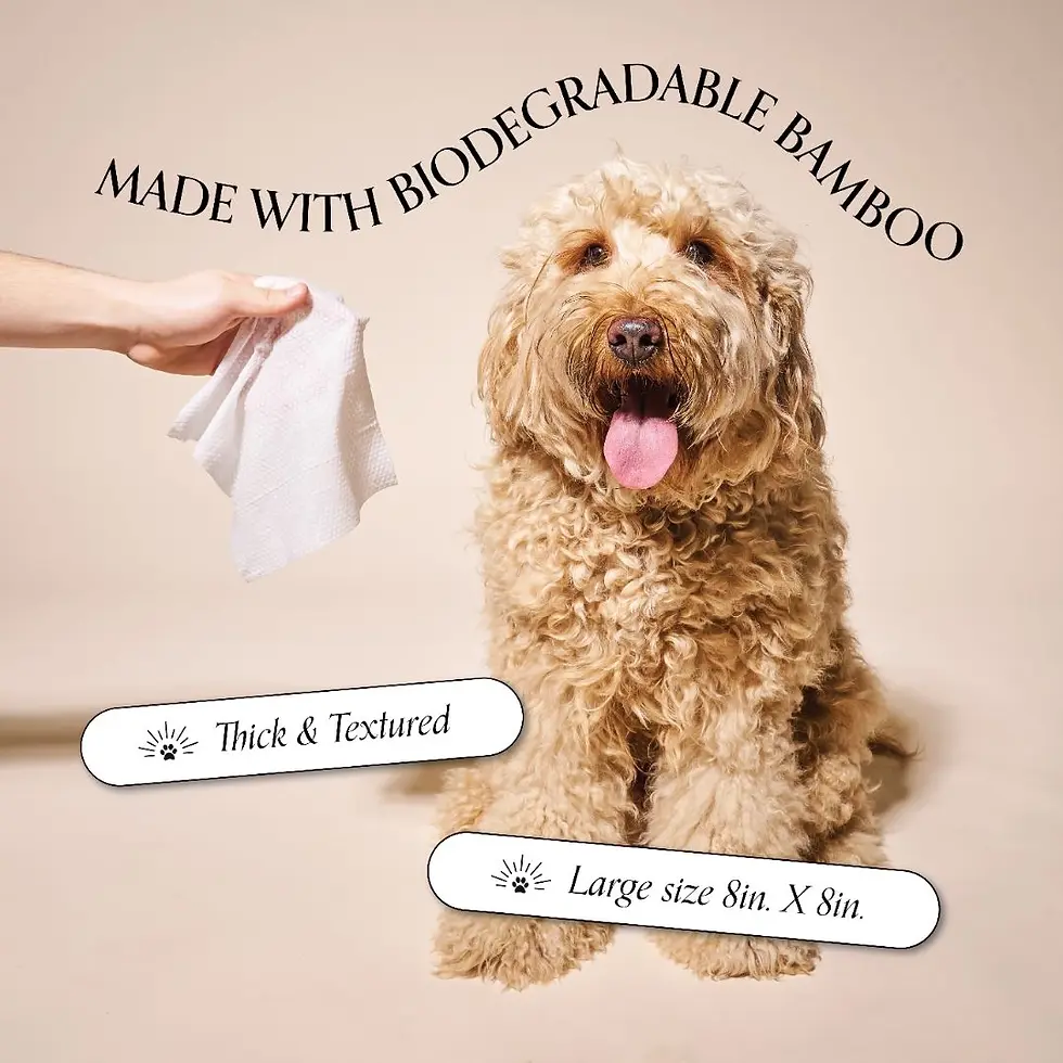 Thumbnail: So Fresh, So Clean Probiotic Dog Wipes by Goldie
