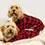 Thumbnail: Plaid Dog Pajamas