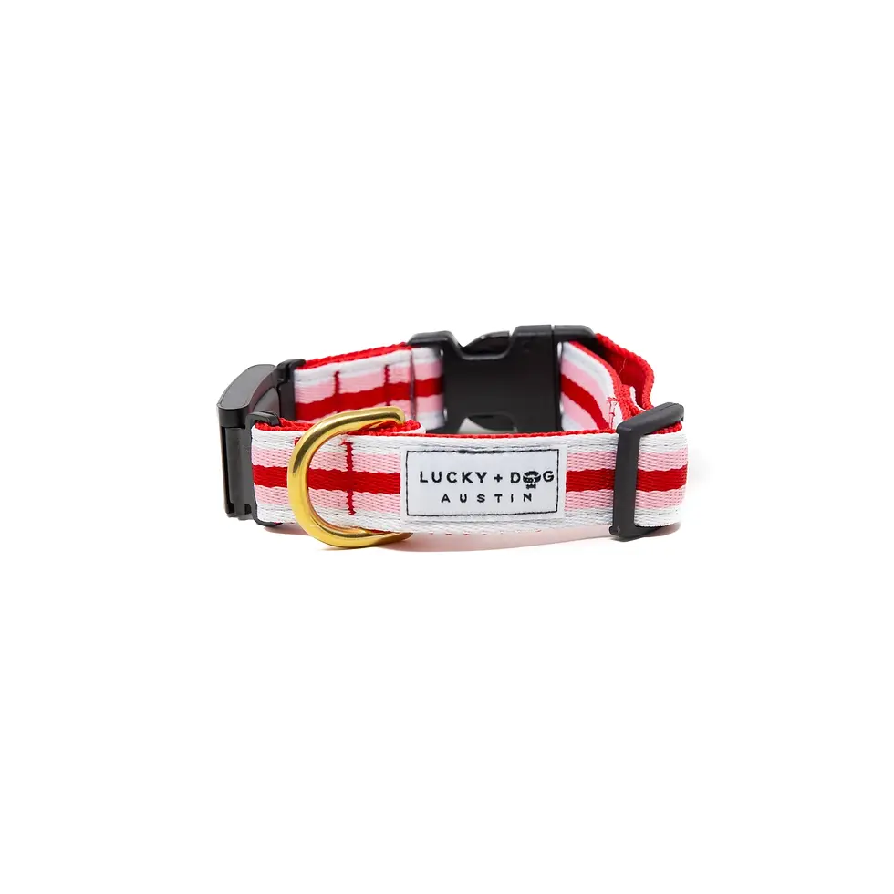 Thumbnail: Fi-Compatible Collars – LUCKY + DOG