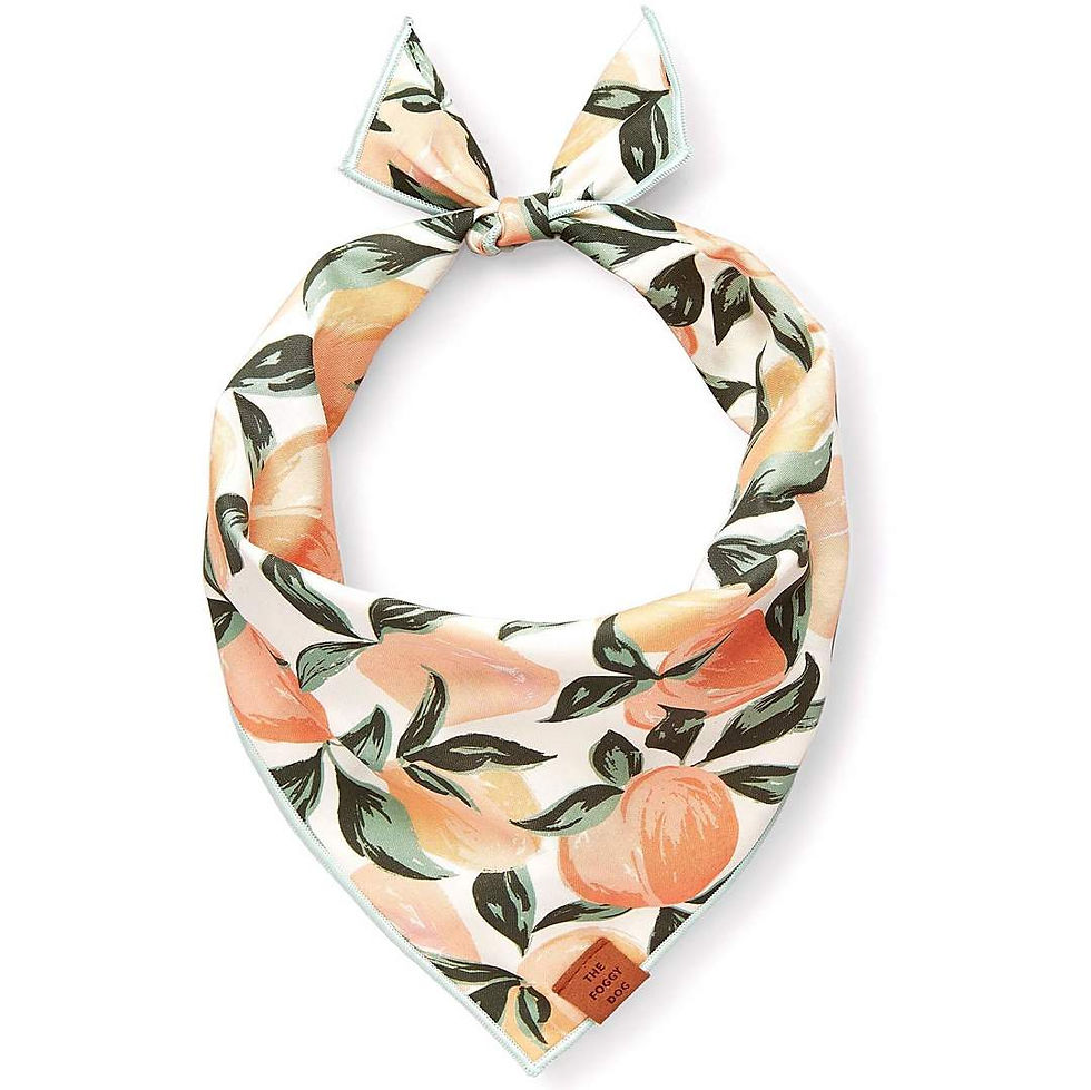 Thumbnail: Peaches and Cream Dog Bandana