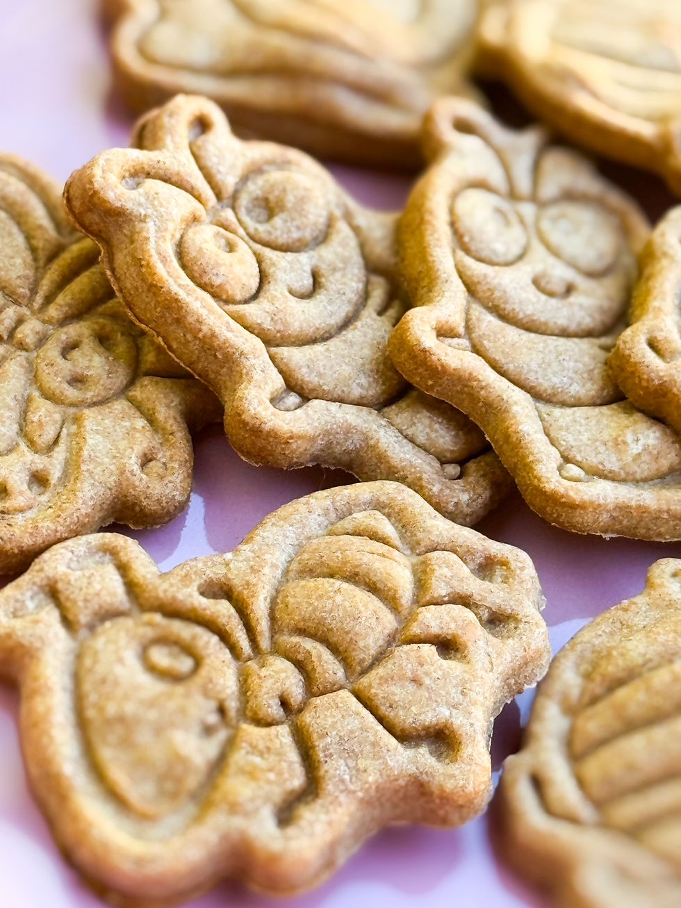 Thumbnail: Critter Crunch Honey Coconut Cookies