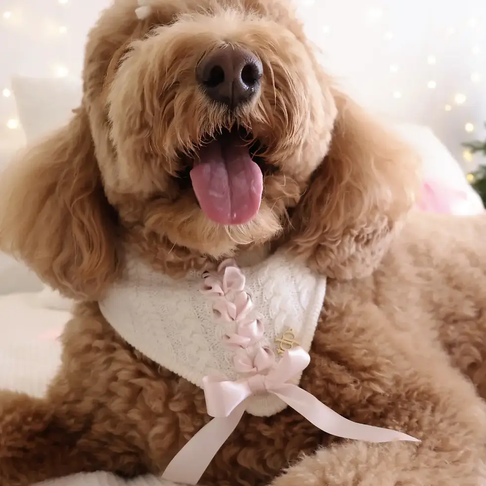 Thumbnail: The Deluxe Pup – Valentine's Day Collection